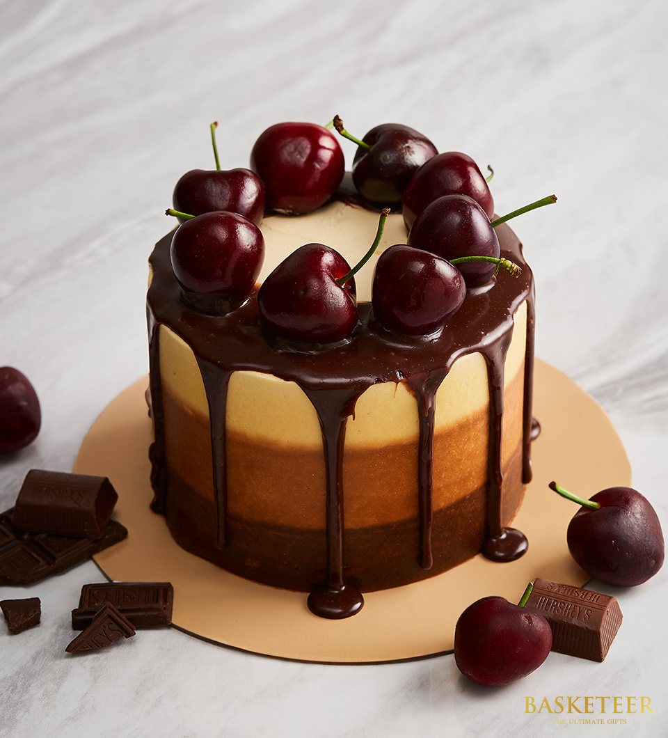 Mini cake tri-colour brown frosting milk chocolate