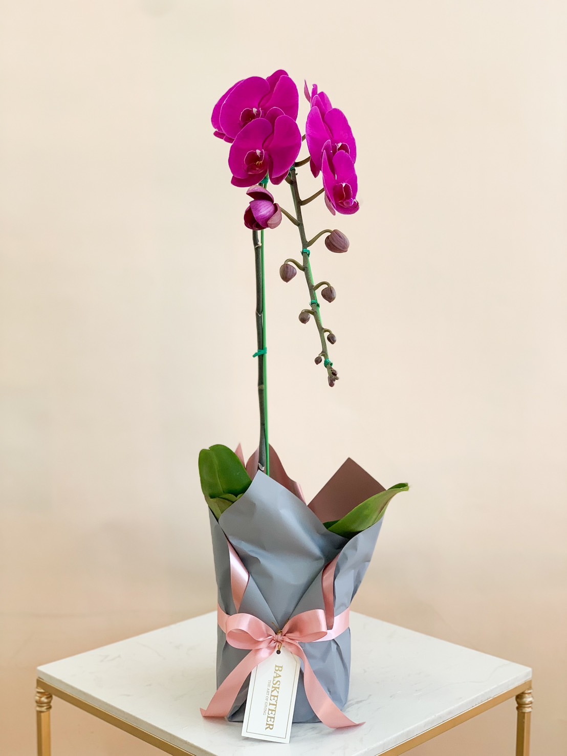 Single-stem purple orchid wrapped in gray paper and adorned with a pink satin ribbon, presented on a modern table.