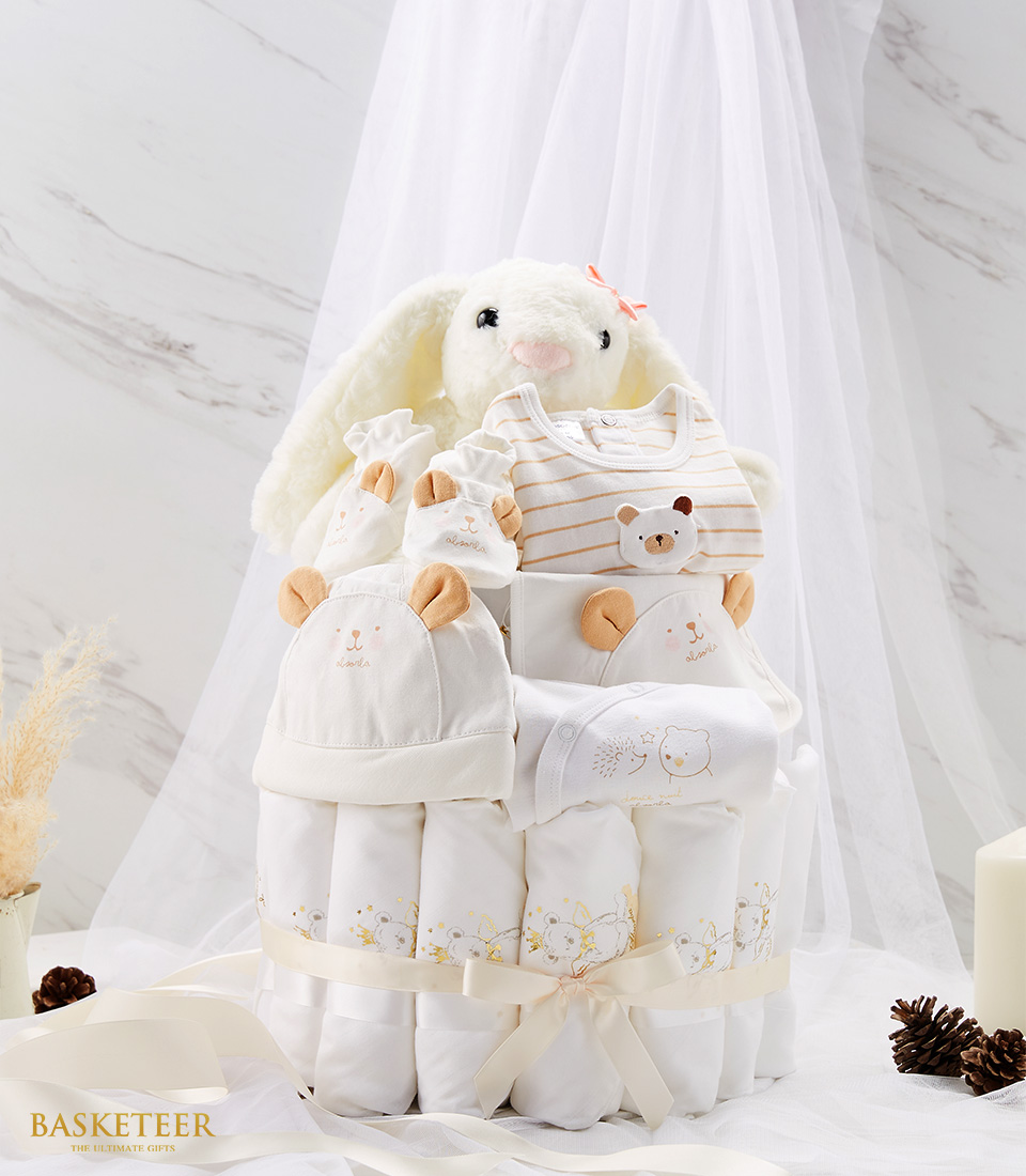 Newborn Baby Cake Diaper Gift Set