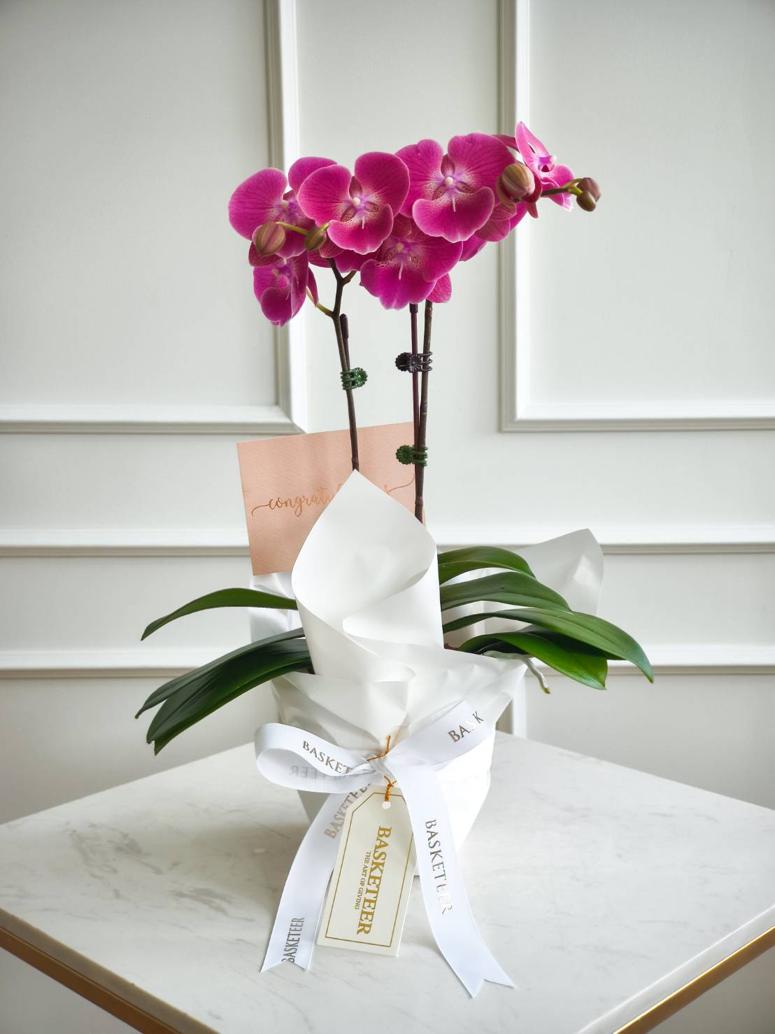 Elegant pink phalaenopsis orchid plant in a pot, wrapped with white paper and ribbon, styled as a luxury gift with a “Congrats” card.