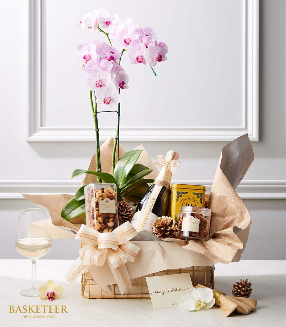 The Red Rose Wine Bliss Basket features a potted pink orchid, assorted nuts, a bottle of wine, gourmet snacks, and a candle, all wrapped in elegant paper with a cream-colored ribbon. Beside the basket, there's a wine glass, pine cones, an orchid flower, and a card.