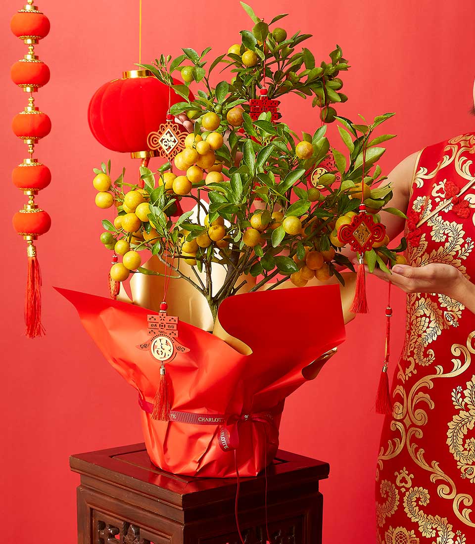 CNY : Auspicious Orange Tree Gift