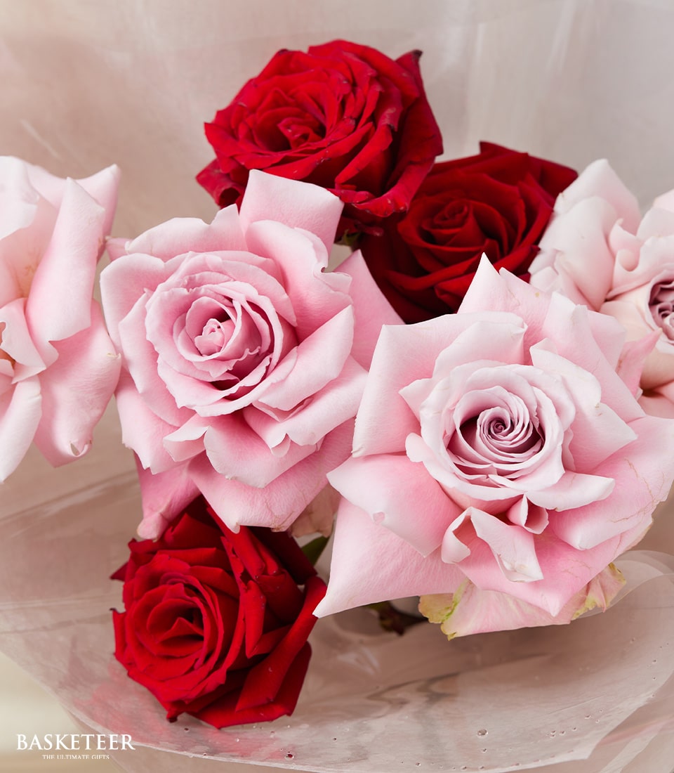 A lavish bouquet of red and pink roses, elegantly wrapped in sheer, translucent paper. Each rose boasts lush, layered petals that cascade in varying shades from deep crimson to soft blush, creating a mesmerizing contrast. The sophisticated background features a gentle, neutral tone that accentuates the beauty of the blossoms. In the bottom left corner, the prestigious 