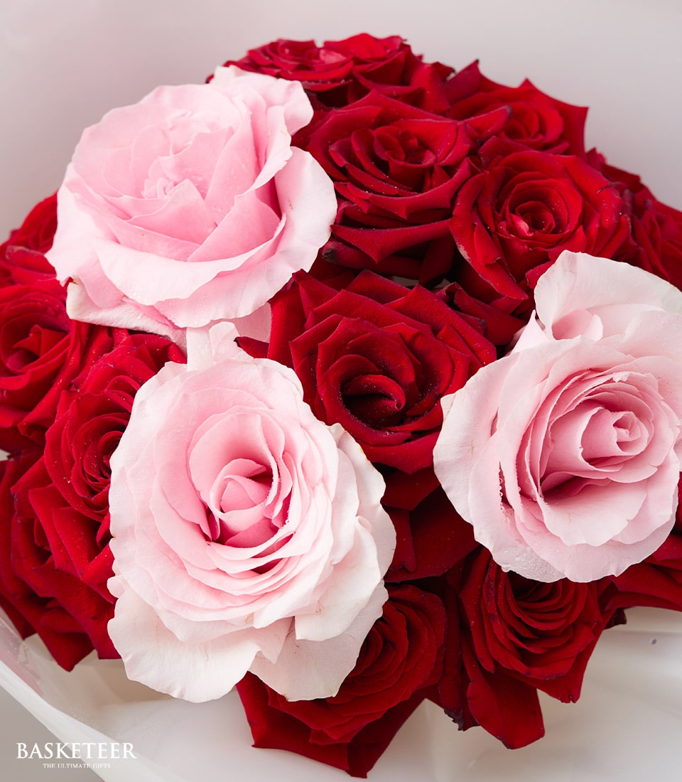 A luxurious close-up of a stunning bouquet showcasing an exquisite blend of pink and red roses. The flawless pink blooms take center stage among the lush, tightly clustered red roses, creating a mesmerizing contrast that captures the essence of refined beauty. The fresh and vibrant petals are a testament to their quality, making this arrangement truly enchanting. Nestled in the lower corner, the elegant 