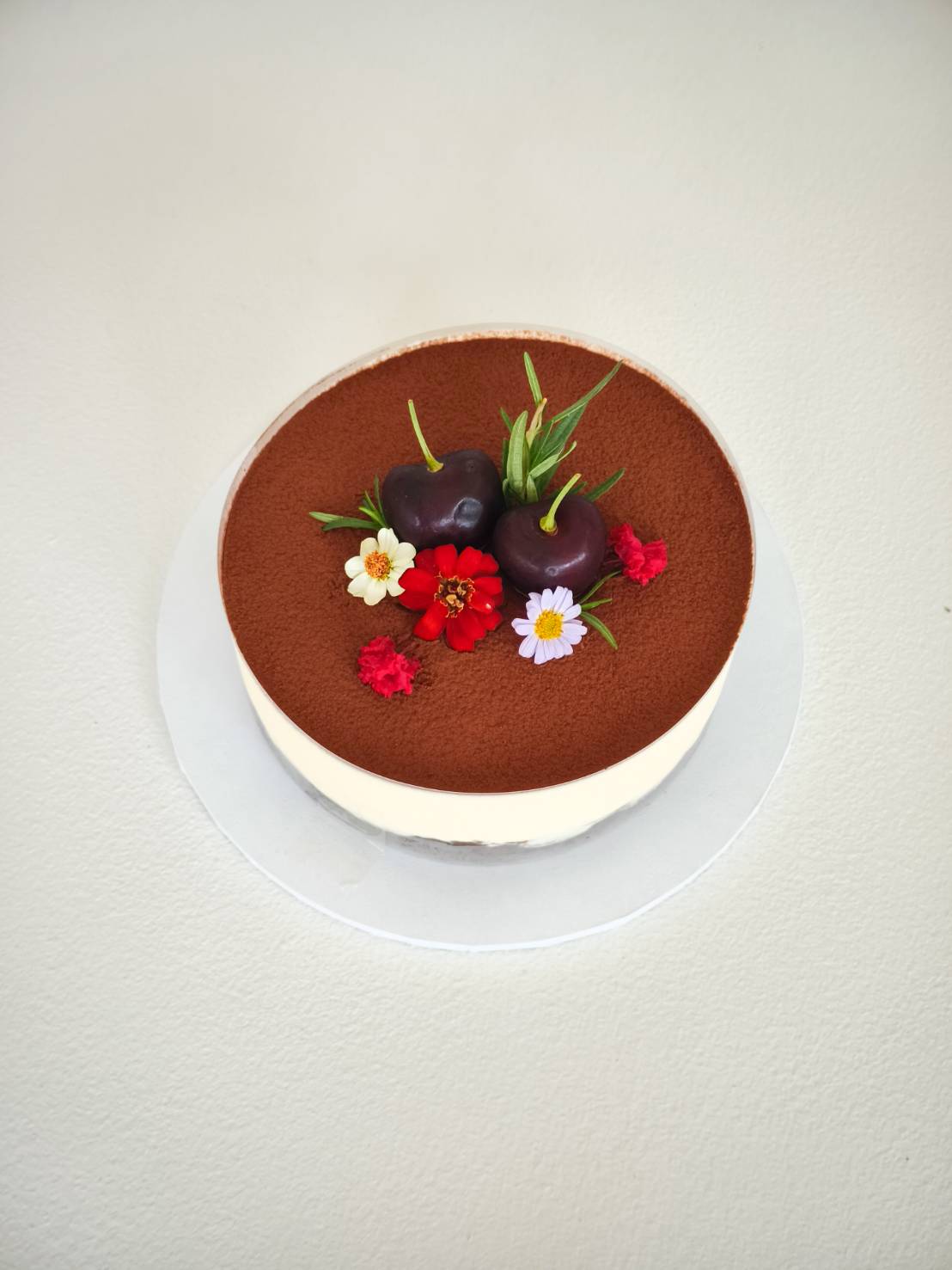 Classic tiramisu cake topped with fresh cherries and edible flowers on cocoa powder dusting.