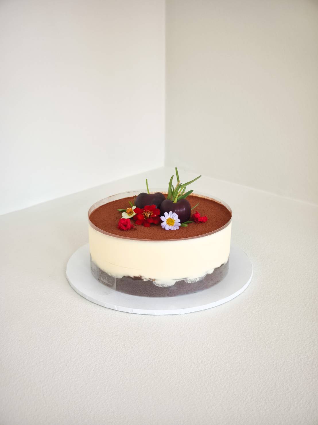 Side view of a classic tiramisu cake topped with cocoa powder, fresh cherries, and edible flowers.