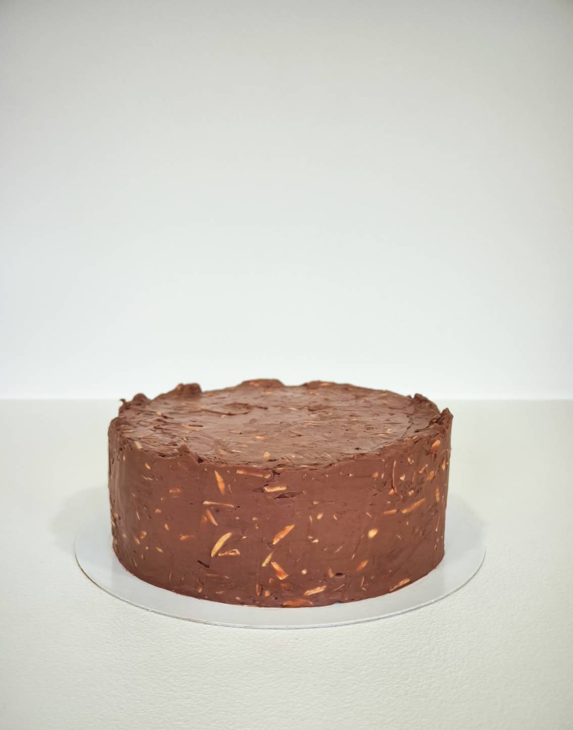 Textured chocolate cake with almond crunch and rich chocolate frosting, shown from front view