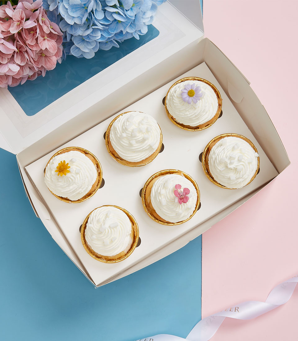 Sweet Young Coconut CupCakes Set