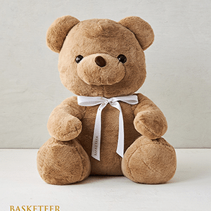 Huggable Heartfelt Teddy 50 cm