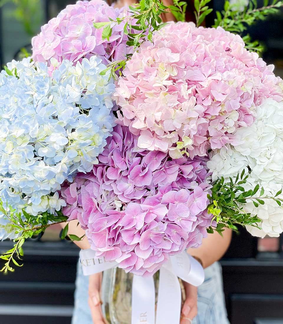 A person cradling an opulent bouquet of lush, oversized hydrangeas exhibiting a symphony of light blue, soft pink, lavender, and pristine white petals. The blooms are complemented by verdant green leaves and elegantly secured with a satin white ribbon. The background is tastefully blurred to accentuate the vivid arrangement in its luxurious vase. A discreet Basketeer logo embellishes the ribbon, adding an extra touch of sophistication to this breathtaking floral display.
