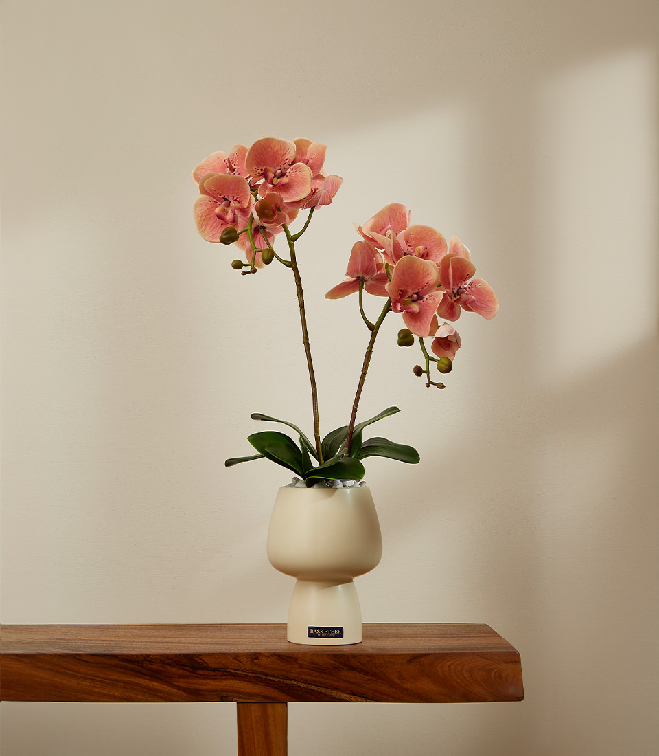 A pink orchid with delicate blooms displayed in a modern white vase. The orchid is placed on a wooden table against a neutral background.