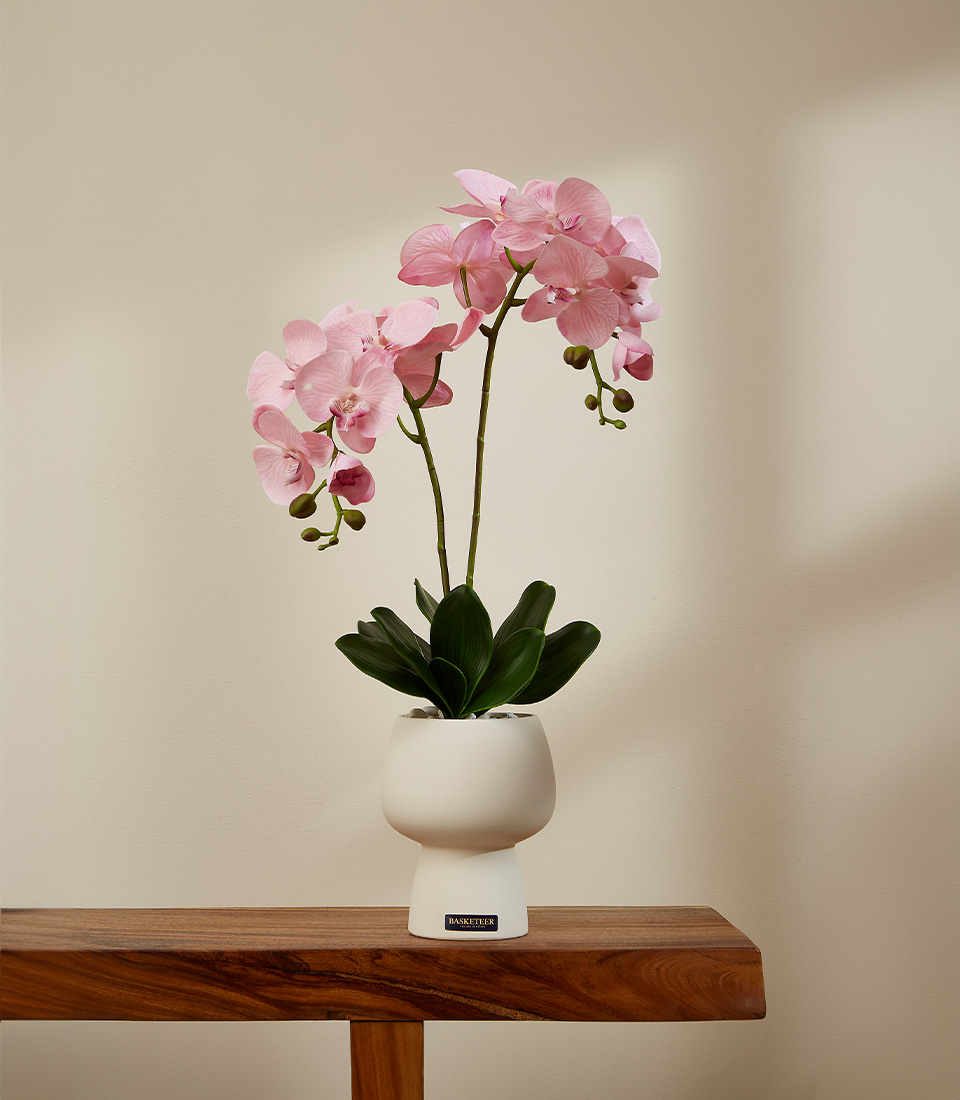 Lifelike Phalaenopsis orchid arrangement with white petals and pink accents in a modern ceramic pot,displayed on a wooden surface.