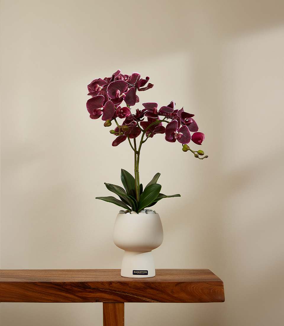Lifelike burgundy Phalaenopsis orchid arrangement with realistic green stems and leaves in a modern white ceramic pot