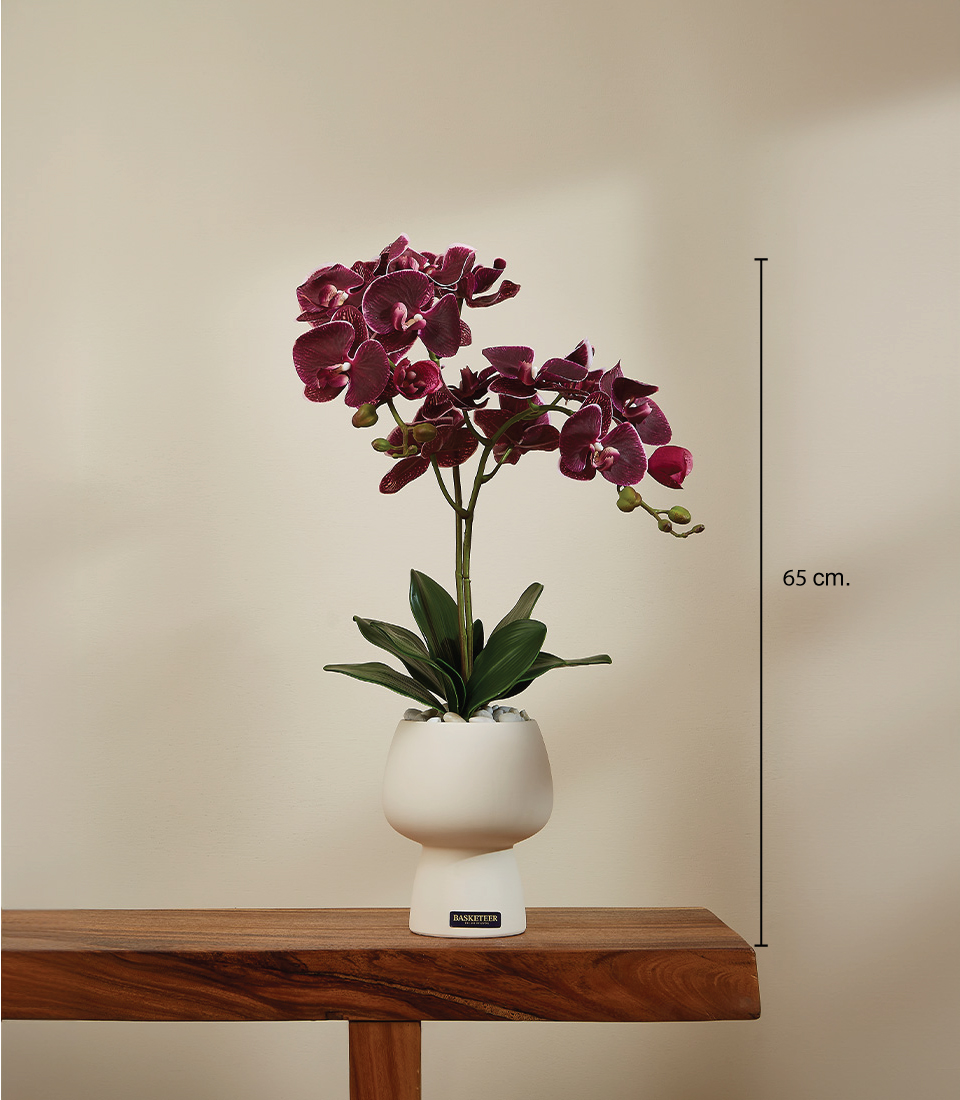 Lifelike burgundy Phalaenopsis orchid arrangement with realistic green stems and leaves in a modern white ceramic pot, measuring 65 cm in height, displayed on a wooden surface.