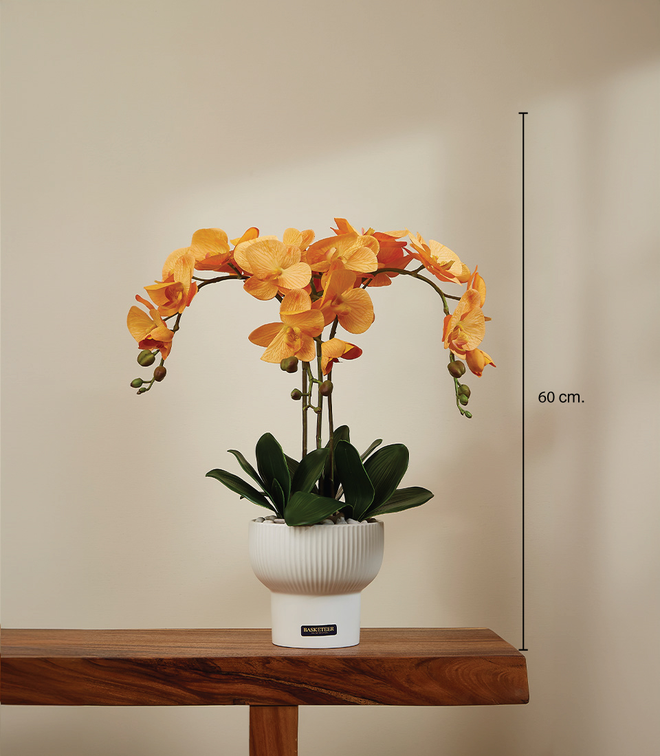 Close-up of Artificial Yellow Phalaenopsis Orchid flowers with a premium quality and real touch feel, in a white vase measuring 53 cm.