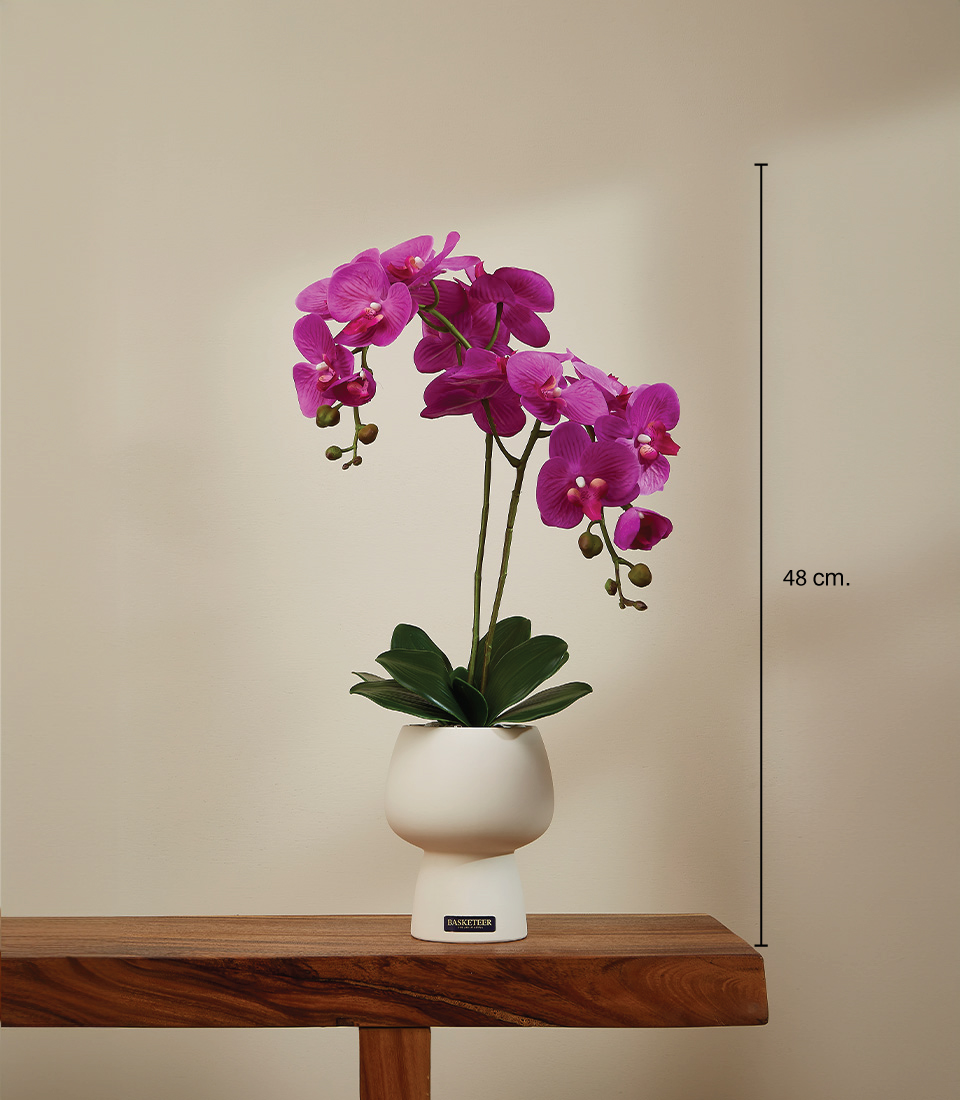 Fuchsia Real Touch Orchid in White Ceramic Vase with 48 cm Height