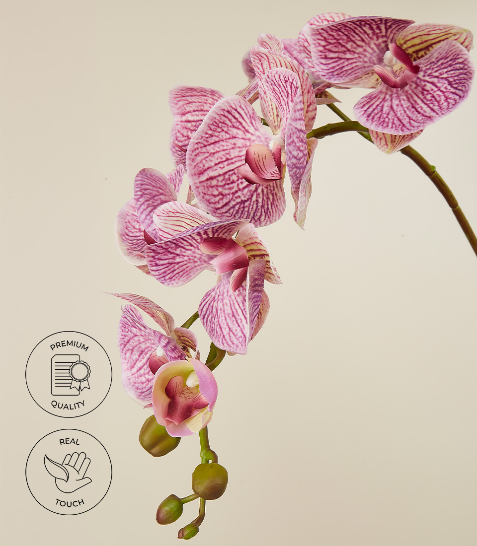 remium Quality Real Touch Lilac Orchid Close-Up with Green Buds and Textural Detail