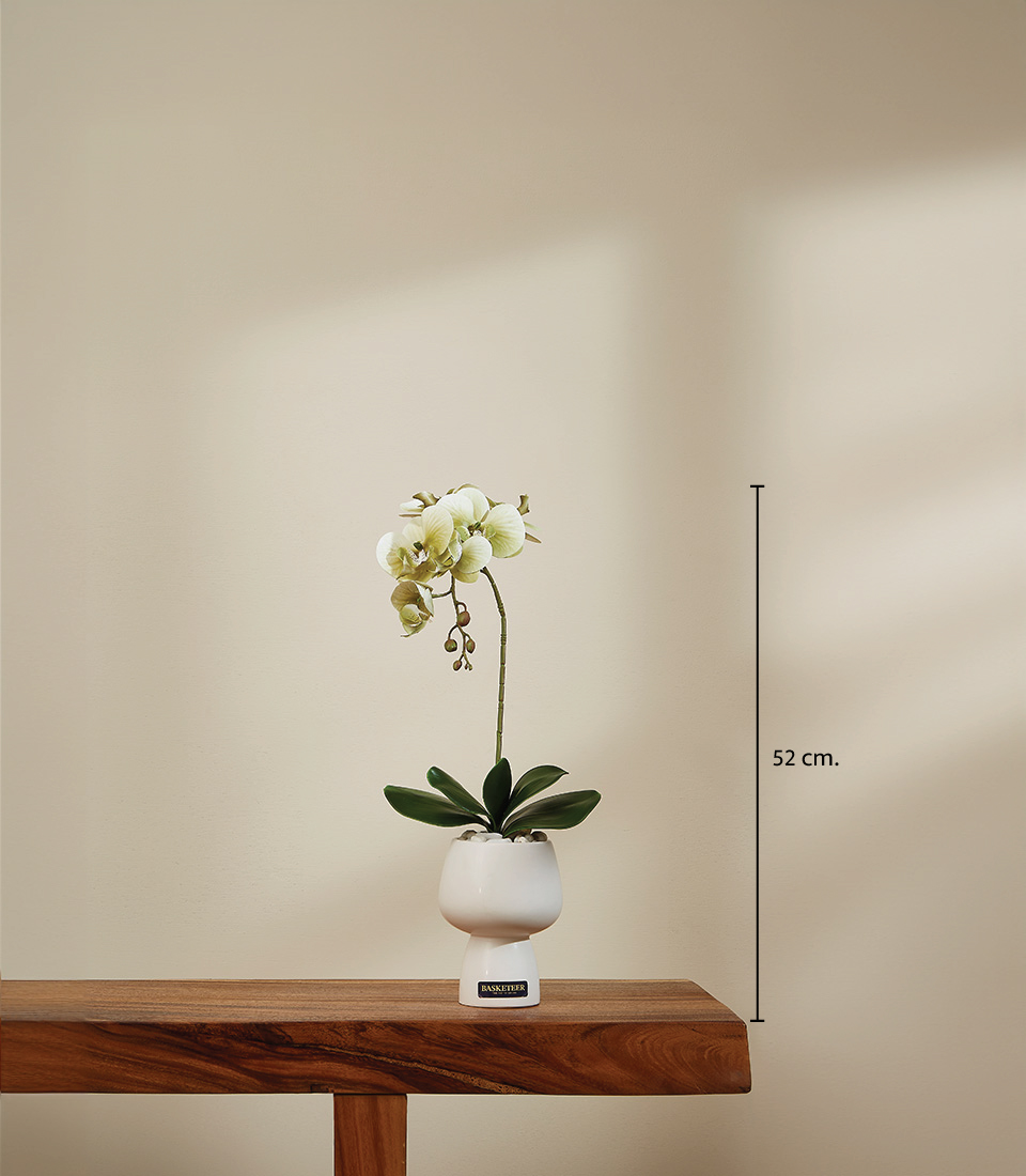 Artificial white orchid in a modern ceramic pot, standing 52 cm tall