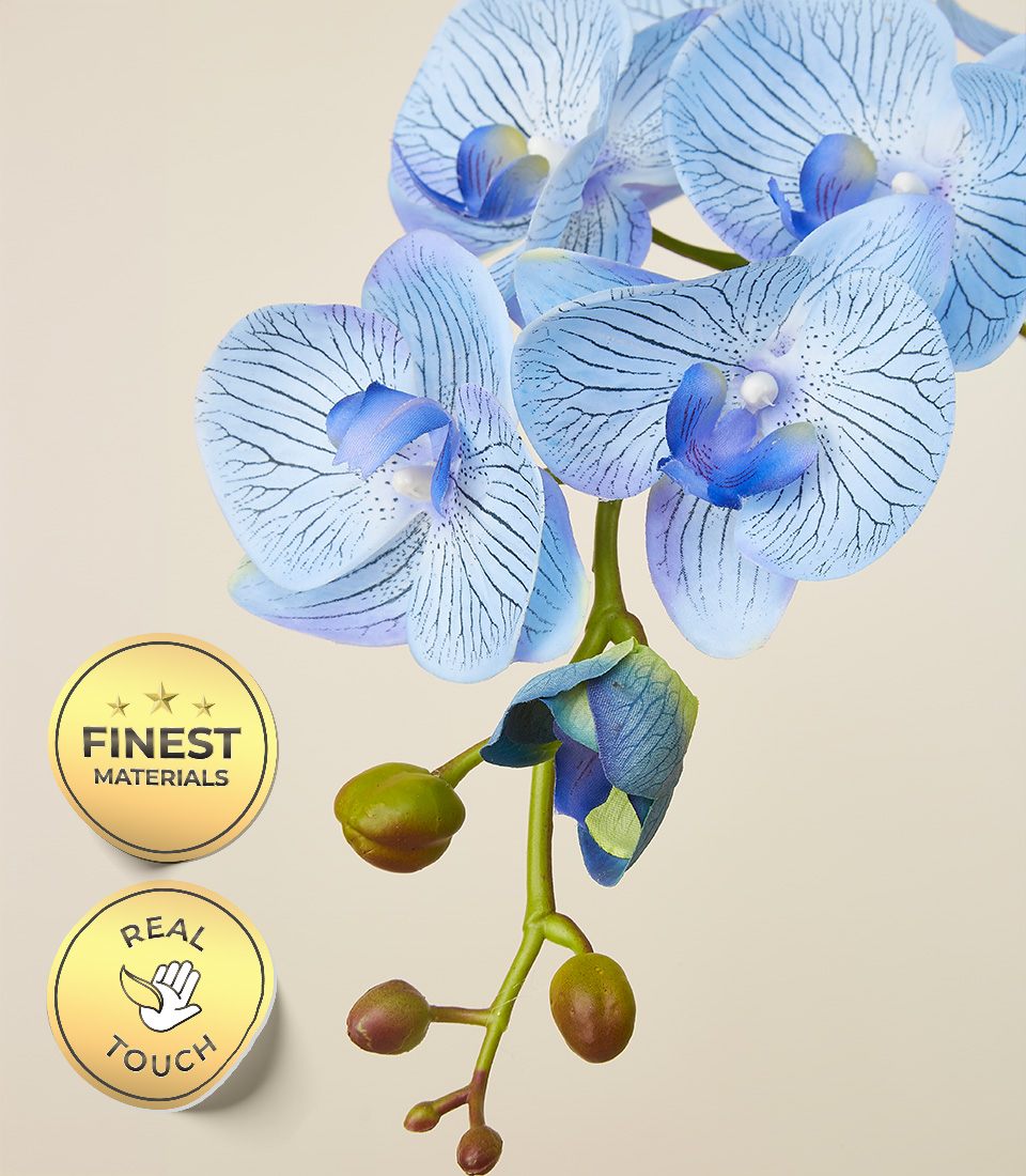 Close-up of a Real Touch Blue Orchid Flower with Premium Quality and Finest Materials Labels