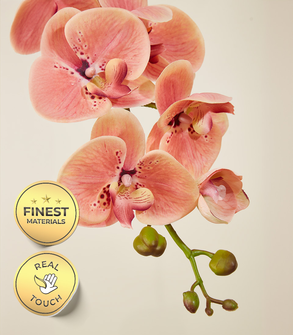 Close-Up of Real Touch Peach Orchid Flower with Premium Quality and Finest Materials Labels