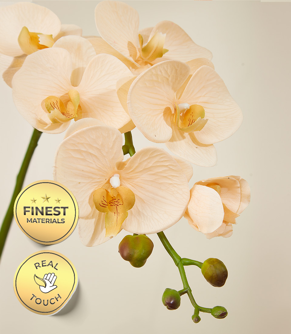 Close-up of a Real Touch Orchid in Cream Color with Finest Materials and Real Touch Labels