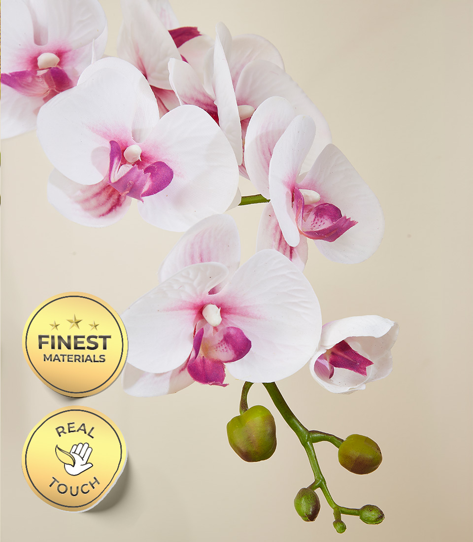 Close-up of Pink and White Real Touch Orchid Flowers with Finest Materials and Real Touch Labels