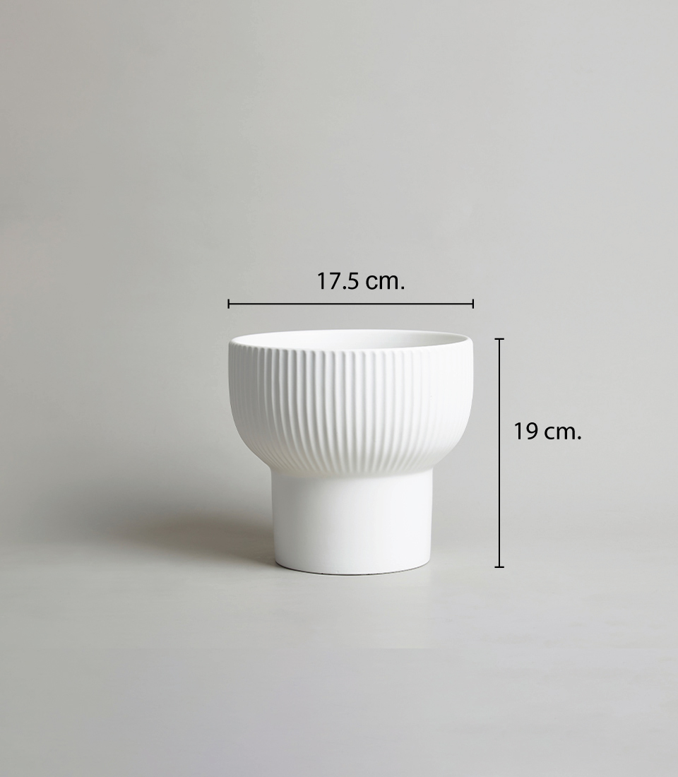 Close-up White ceramic pot with vertical ribbed texture, measuring 17.5 cm in diameter and 19 cm in height