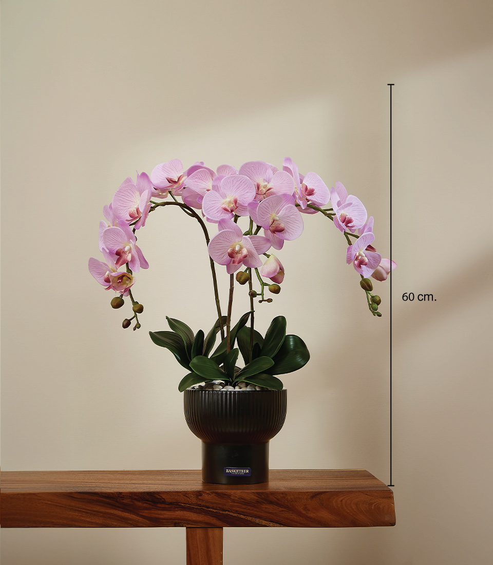Artificial pink orchid flowers in a black vase on a wooden surface, measuring 60 cm in height.