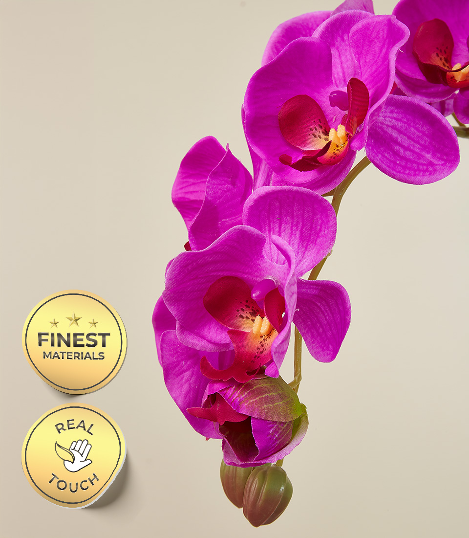 Close-up of vibrant purple orchid blooms with buds, showcasing premium quality and realistic touch features.