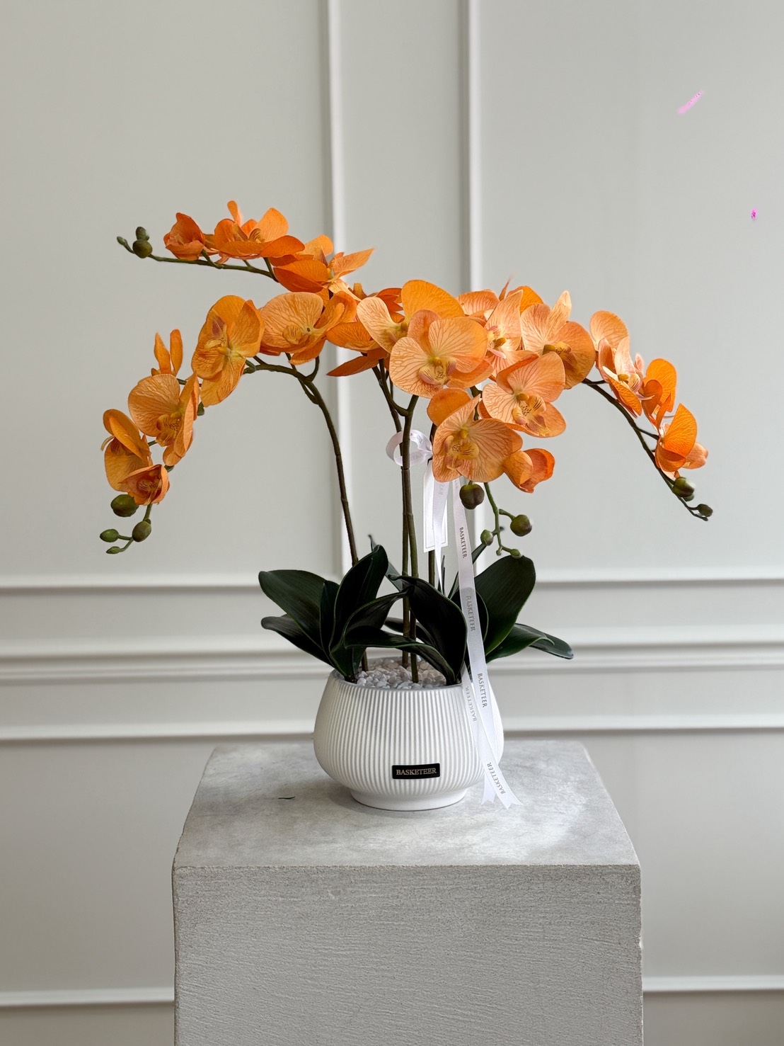 A golden yellow orchid in a white ribbed ceramic pot, featuring vibrant blooms, green leaves, and several buds, sits gracefully on a light plinth against a white panelled wall.