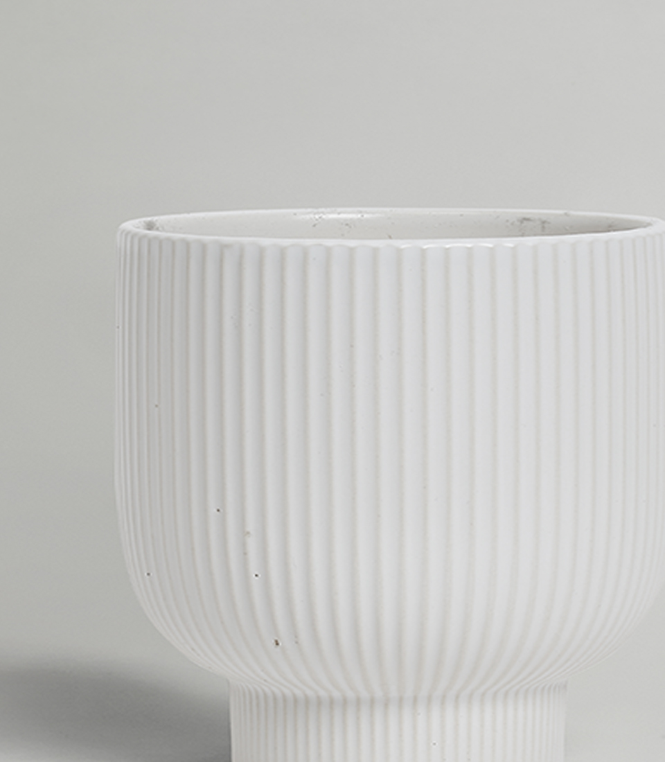 Close-up of Modern White Ribbed Ceramic Vase.
