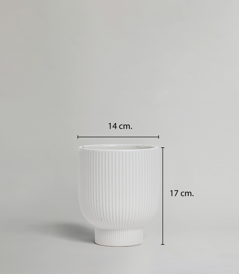 White Ceramic Vase with Ribbed Design, 14 cm. Diameter and 17 cm. Height