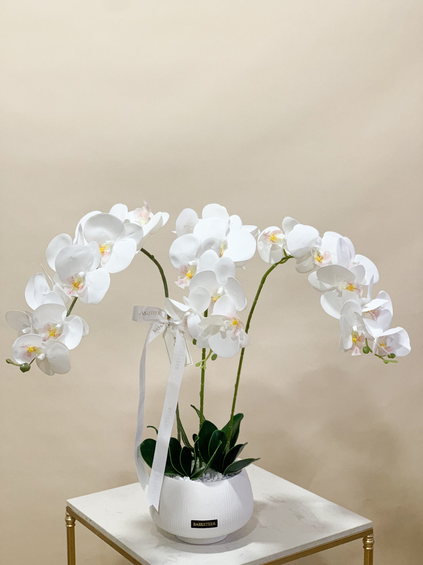 A Graceful White Phalaenopsis Orchid with cascading blooms is beautifully showcased in an exquisite round, white ribbed ceramic pot. This sophisticated arrangement languidly graces a polished wooden table, accentuating the serene and luxurious ambiance of the space. The scene is set against a neutral beige wall, amplifying the elegant and minimalist aesthetic that highlights Basketeer's refined touch. A delicate ribbon featuring the Basketeer logo further enhances this opulent display.