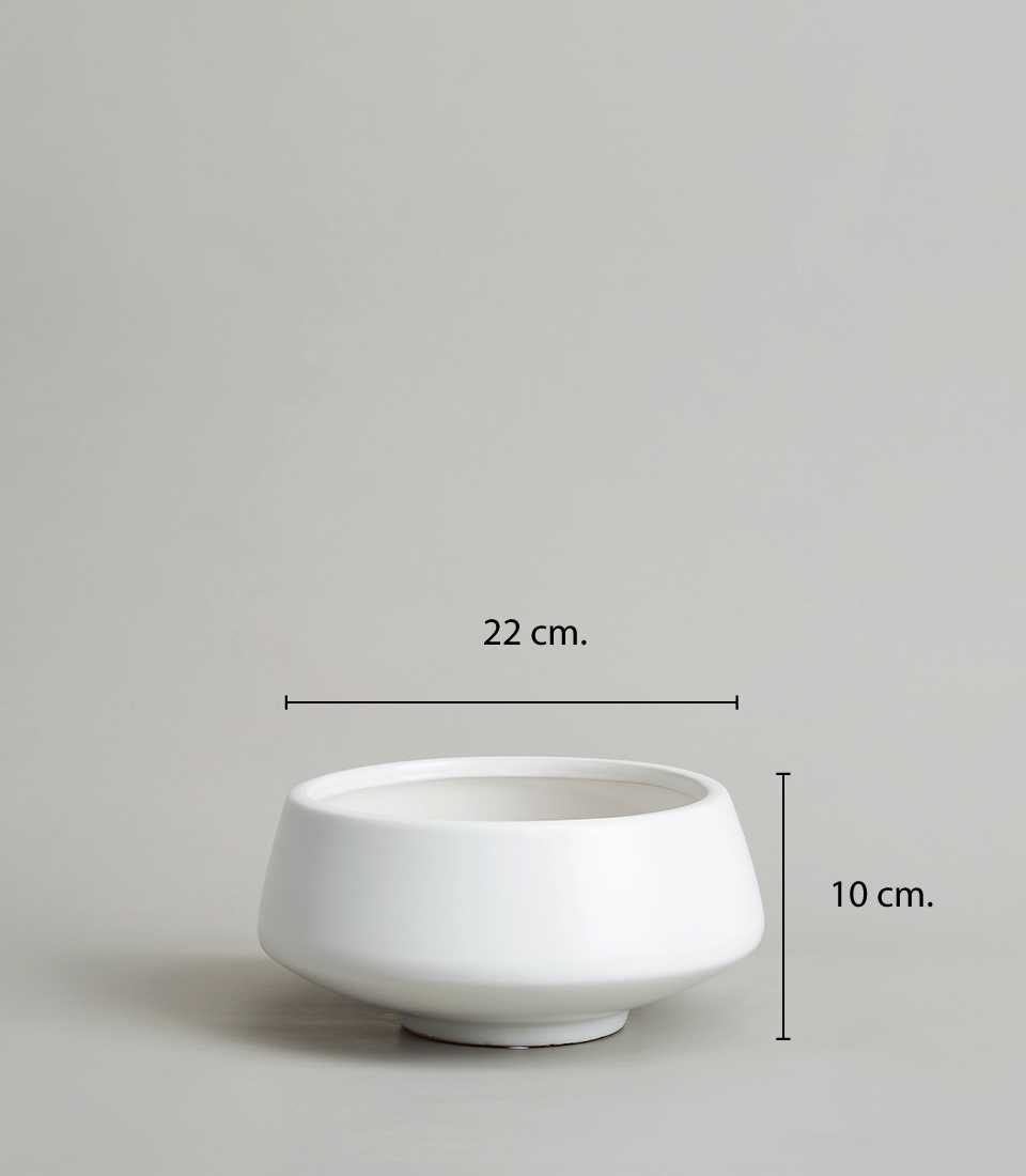Modern white ceramic bowl-shaped vase with dimensions 22 cm in width and 10 cm in height.
