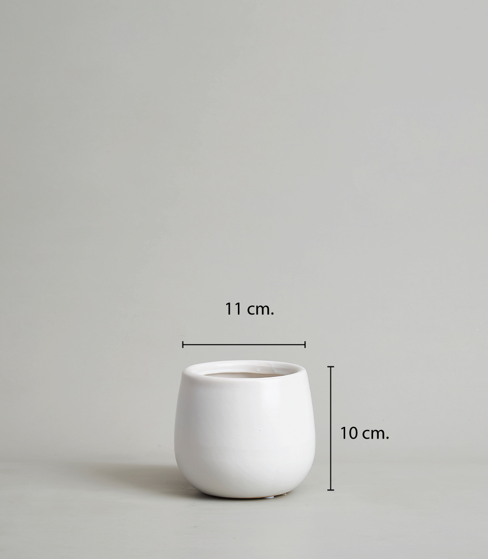 Small white ceramic cylindrical vase with dimensions 11 cm in width and 10 cm in height on a light gray background.