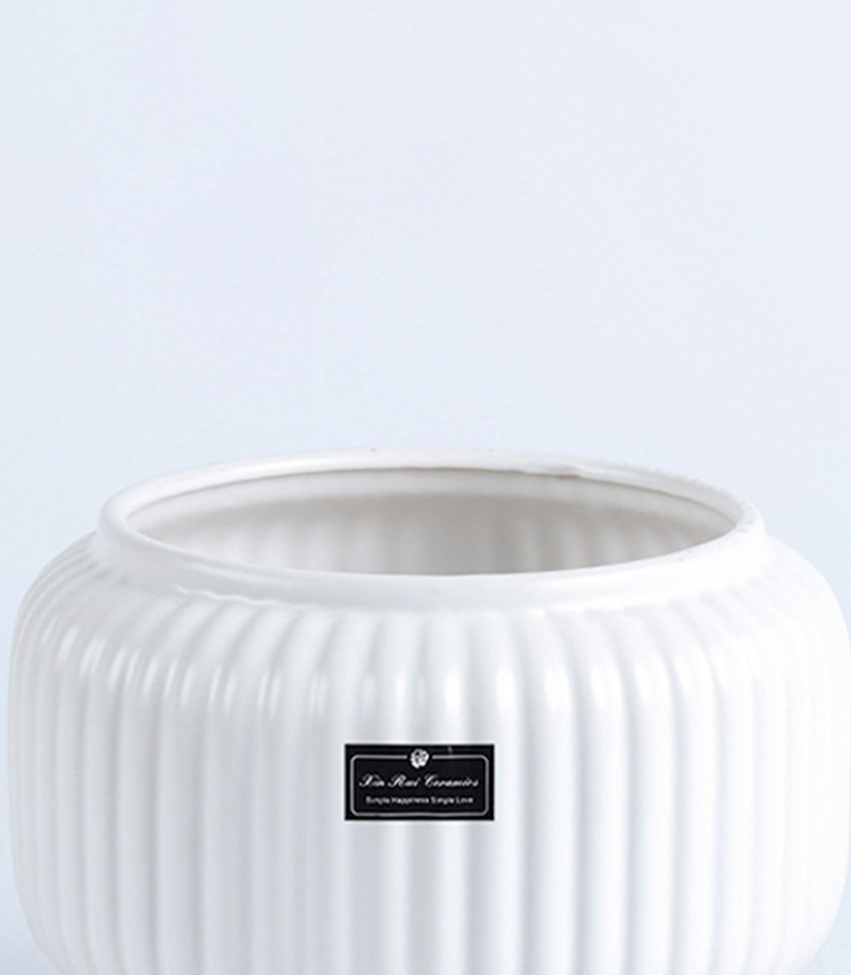 Close-up of a white ribbed ceramic vase with an elevated base.