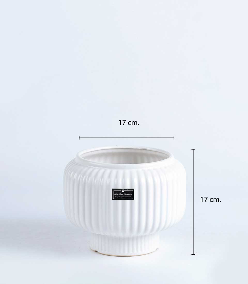 White ribbed ceramic vase with elevated base, 17 cm in height and width on a white background.