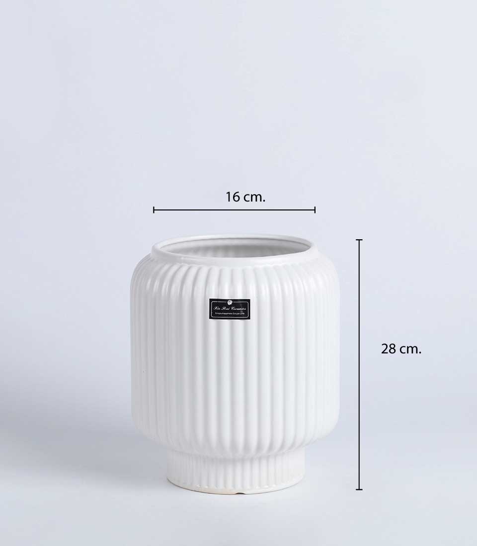 White ribbed ceramic vase with elevated base, 28 cm in height and 16 cm in diameter, against a plain background.