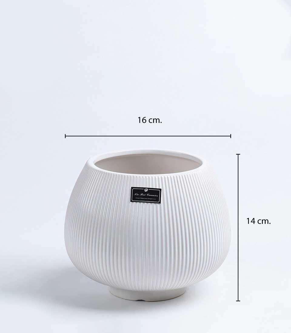 White ribbed ceramic vase with a rounded design, measuring 16 cm in diameter and 14 cm in height.