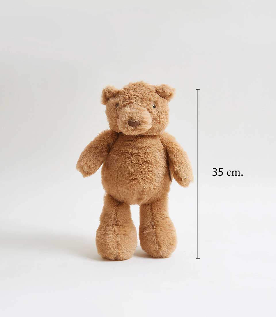 A brown teddy bear stands upright against a plain white background. To the right of the bear, a vertical line with 