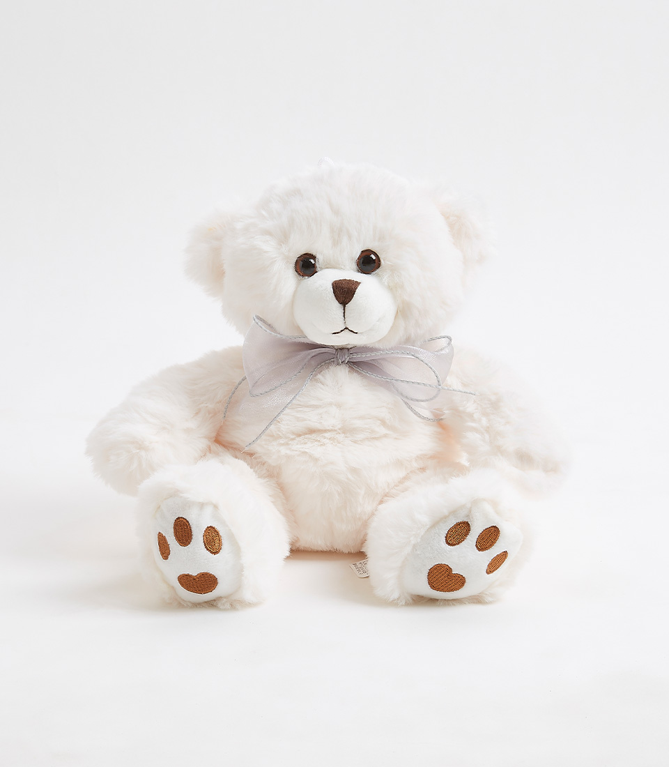 Teddy bear white online