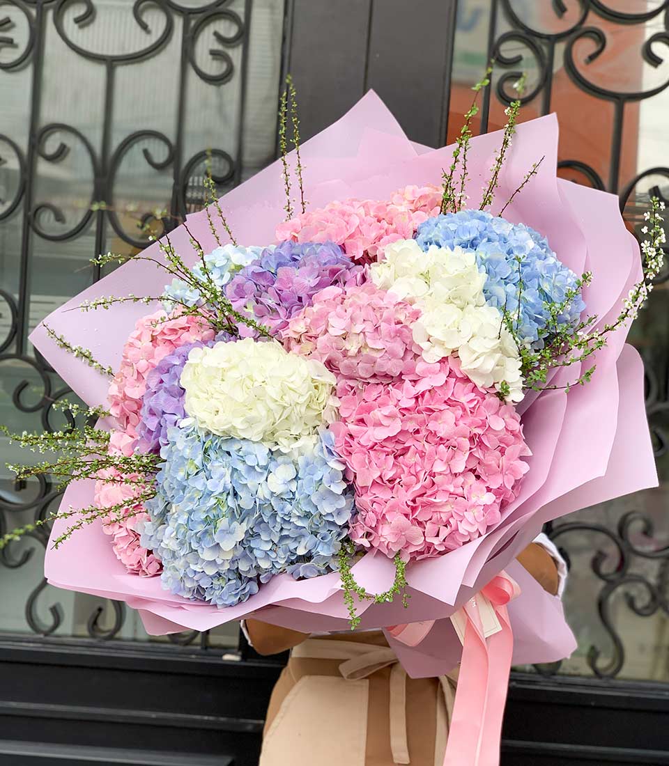 A person holds a large bouquet of hydrangeas wrapped in light pink paper and tied with pink ribbons. This Hydrangea Symphony features blooms in shades of blue, pink, and white, complemented by small white flowers. A metal gate with intricate designs is visible in the background.