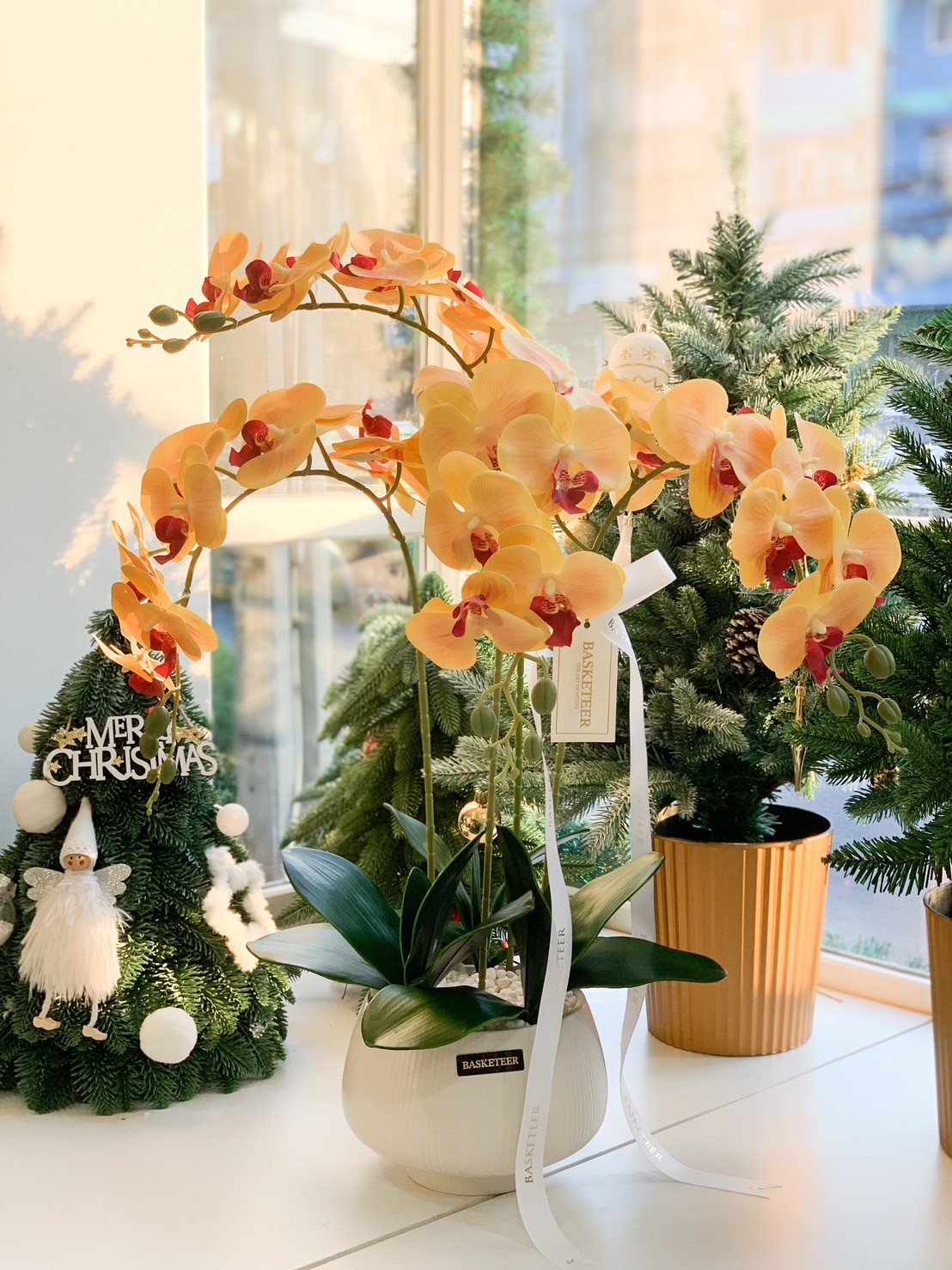 Golden orchid arrangement in a white vase, displayed with Christmas-themed decorations in a bright indoor setting.