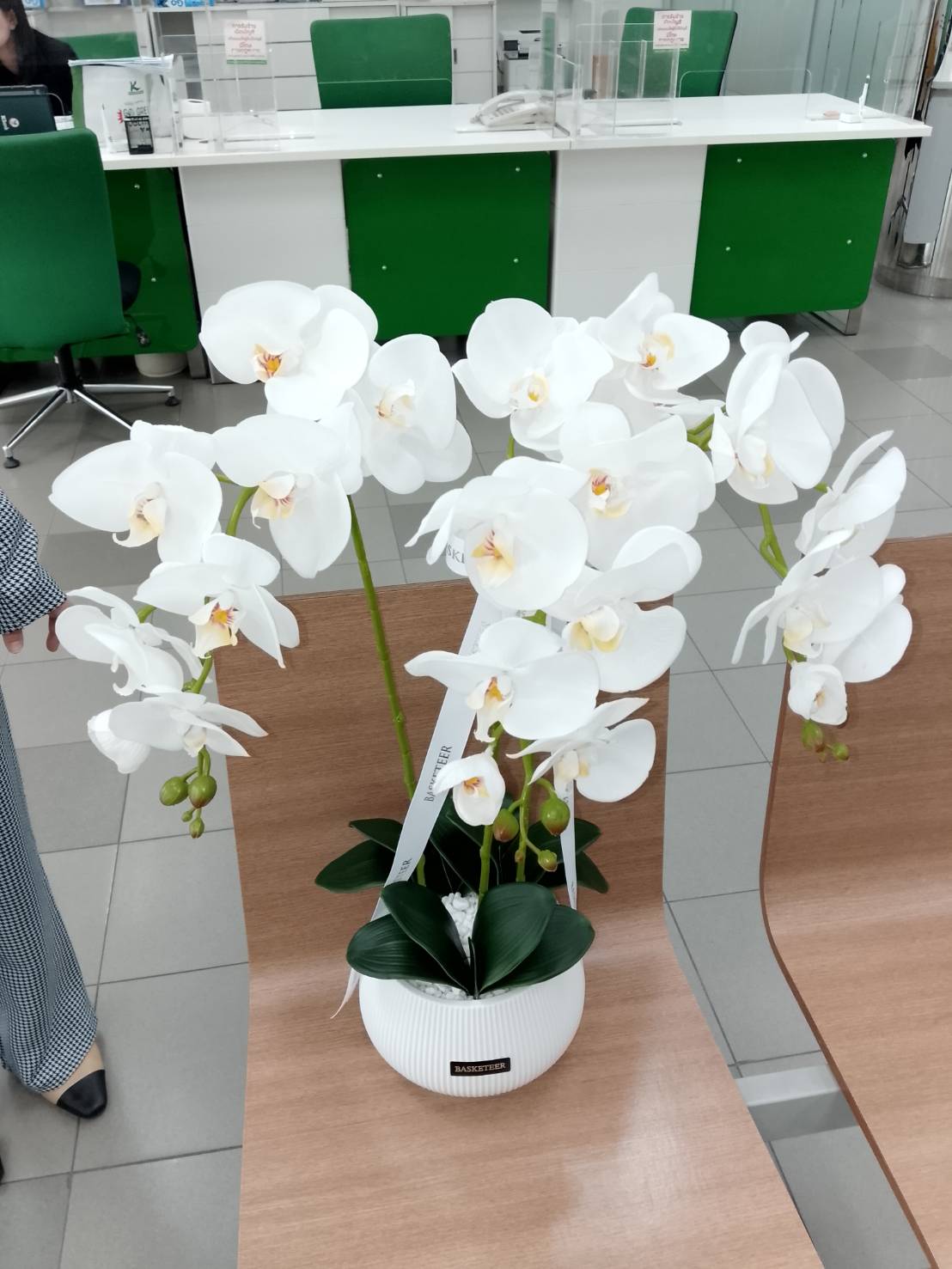 A graceful White Phalaenopsis potted orchid arrangement in a round white pot sits on a wooden bench in a modern office with green and white furniture in the background.