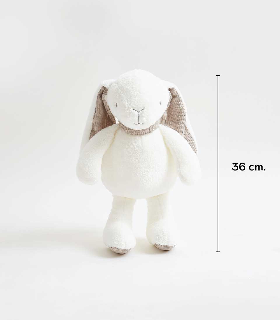 A soft plush rabbit toy with floppy ears stands upright against a plain white background. The ears have tan insides, and the rabbit has a minimalistic facial expression. A vertical line on the right indicates the toy's height of 36 cm.