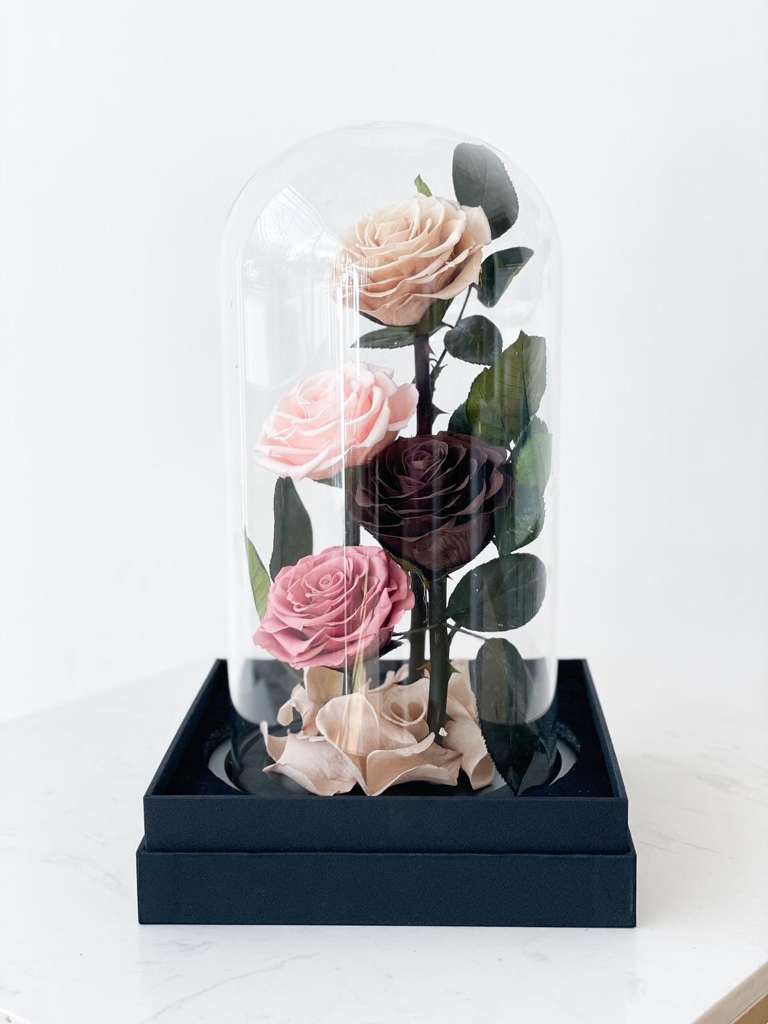 A display of four roses in varying shades of pink and deep purple, elegantly arranged inside a clear glass dome on a black base. These enduring love preserved roses are accompanied by green leaves, showcasing a delicate, timeless beauty perfect for any occasion.