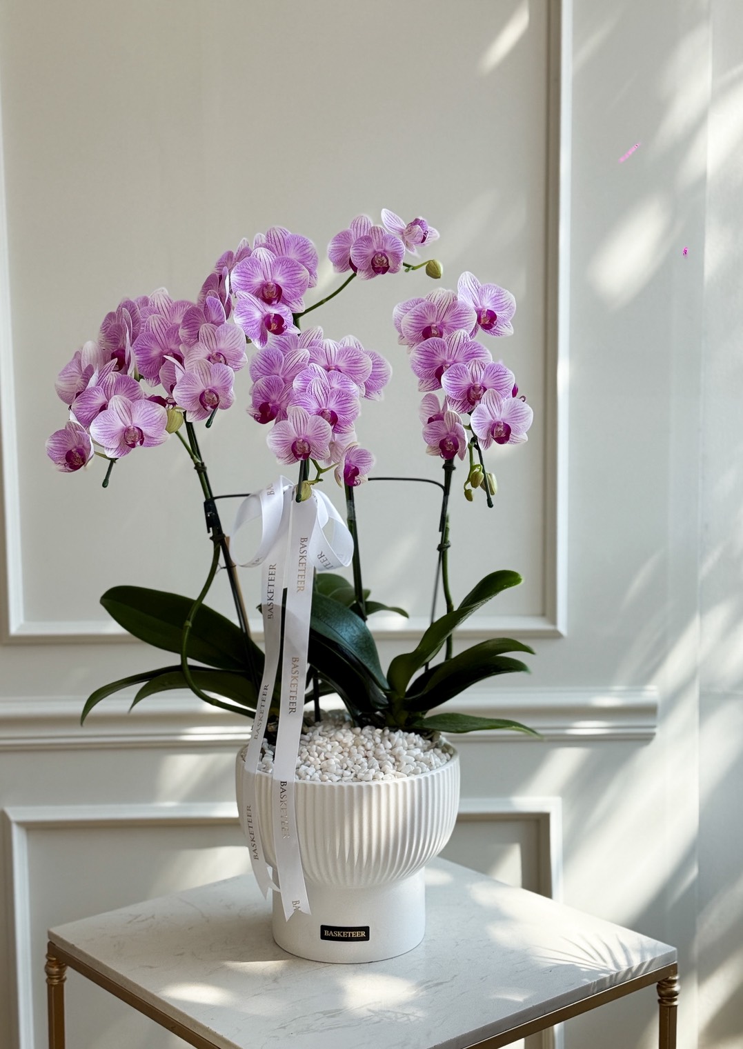 A white ceramic pot with pink, white, and purple orchids exudes Orchid Grandeur, adorned with white ribbons and topped with decorative pebbles on a marble table against a white-panelled wall.