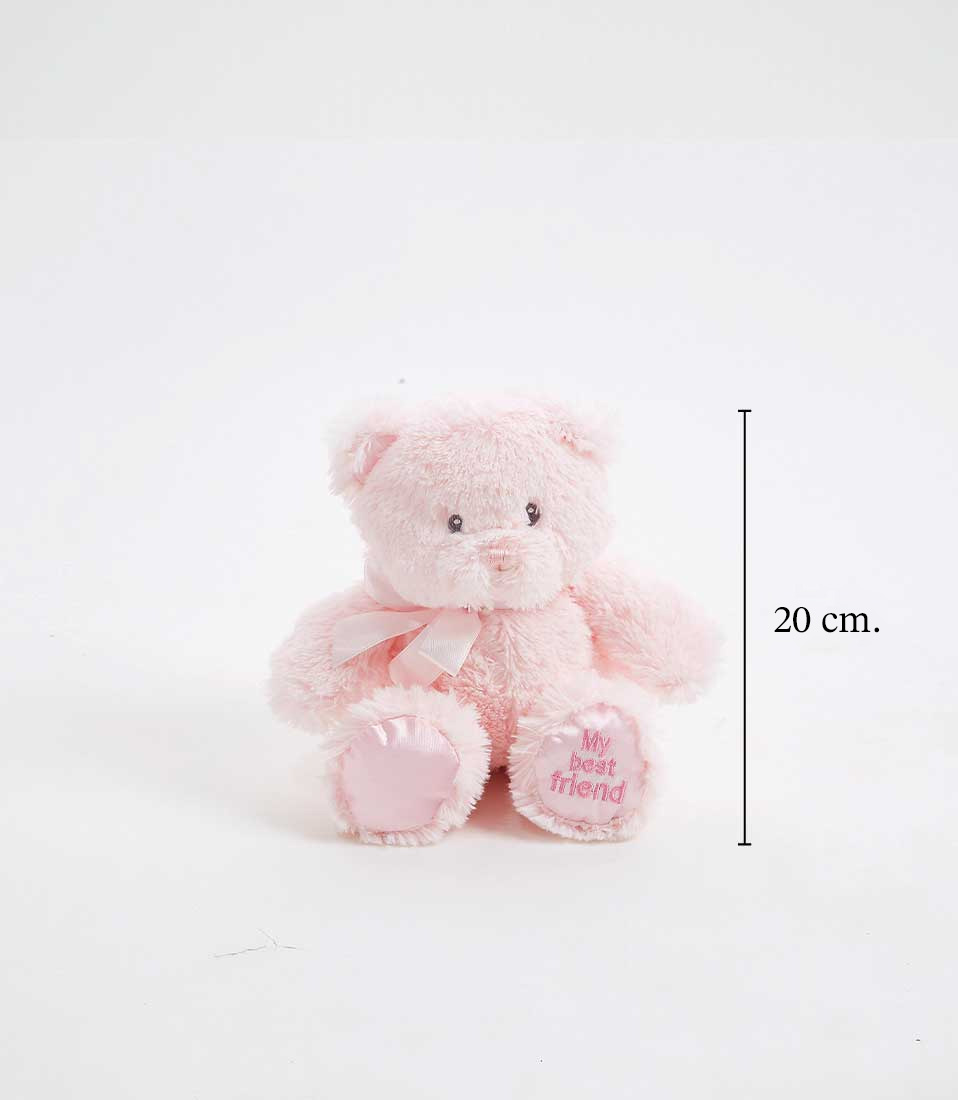 Small pink teddy bear with “My best friend” text on foot, 20 cm tall