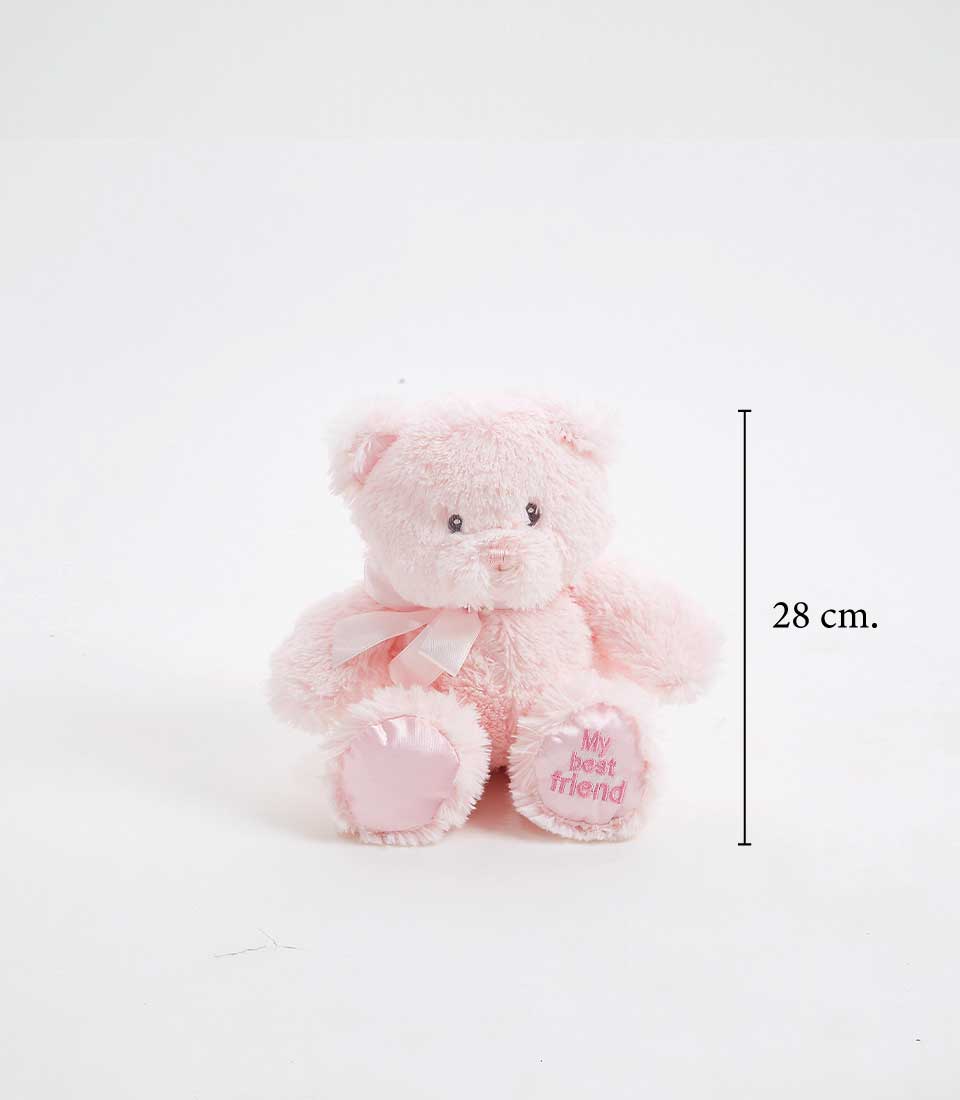 A soft pink teddy bear sitting upright, with embroidered 