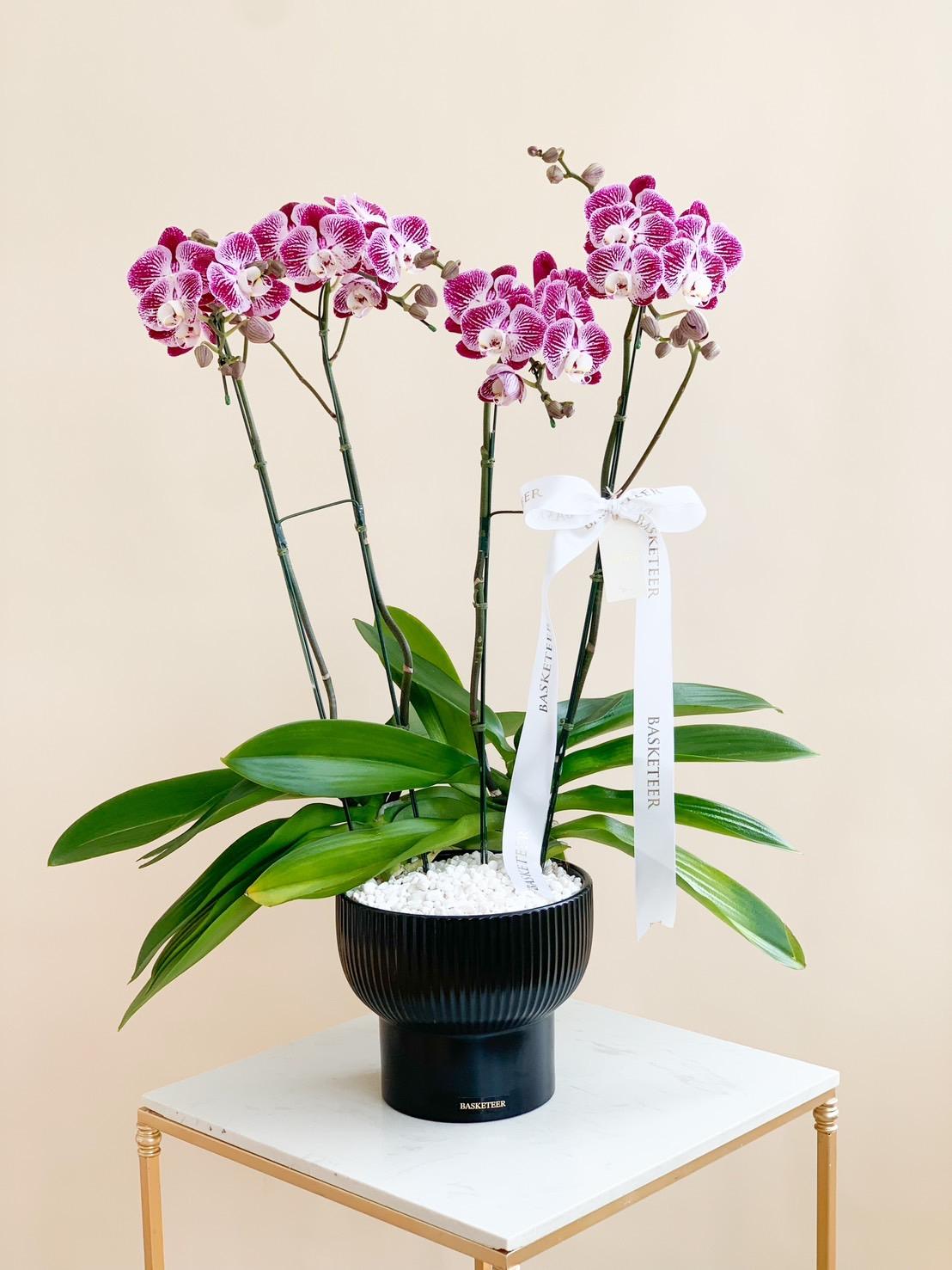 A Purple Majesty Orchid with three tall stems bearing clusters of vibrant pink and white blossoms is arranged in a black ribbed planter. The pot is adorned with a white ribbon that has text on it, and the plant is placed on a small white stand against a beige background.